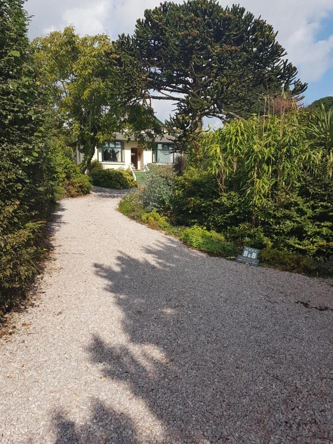 Hotel Norwegian Wood Paignton Exterior foto